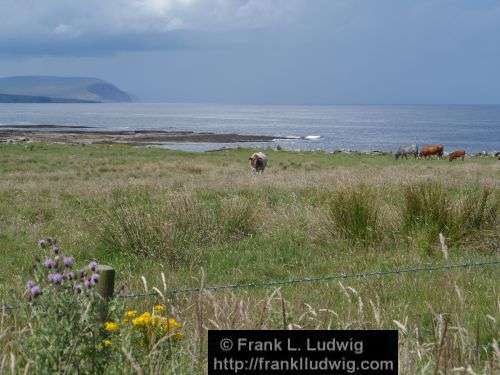 Around Downpatrick Head